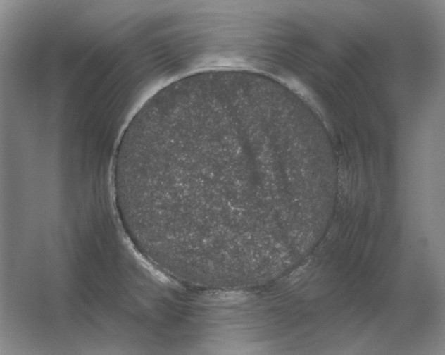 X0000062151382200512301542