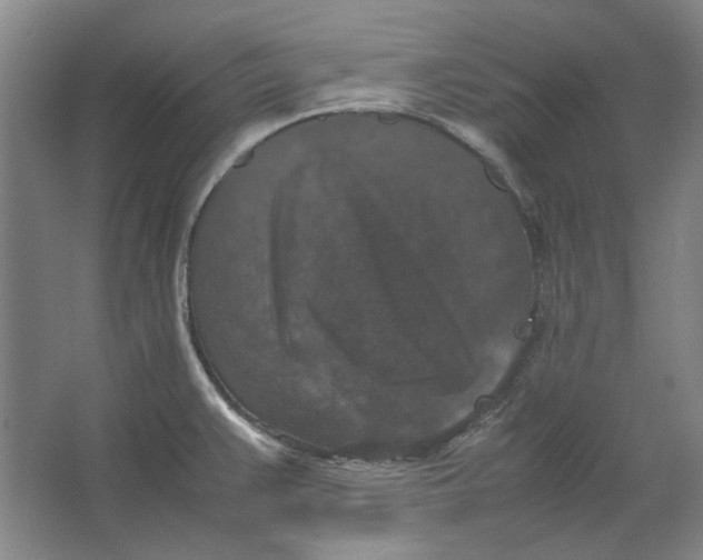 X0000062151383200512301542