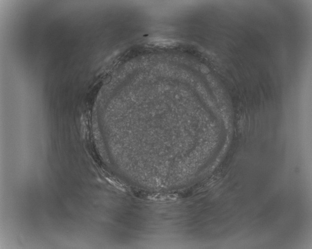 X0000062151397200512301541