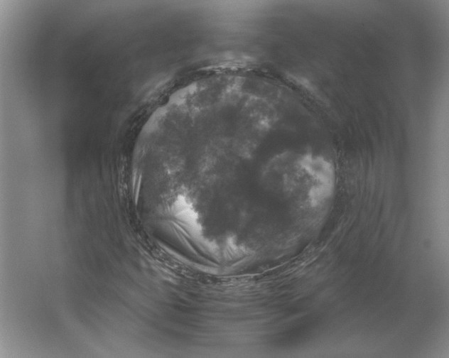 X0000062151399200512301541