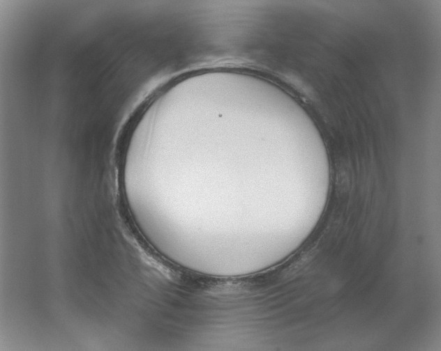 X0000062151414200512301541