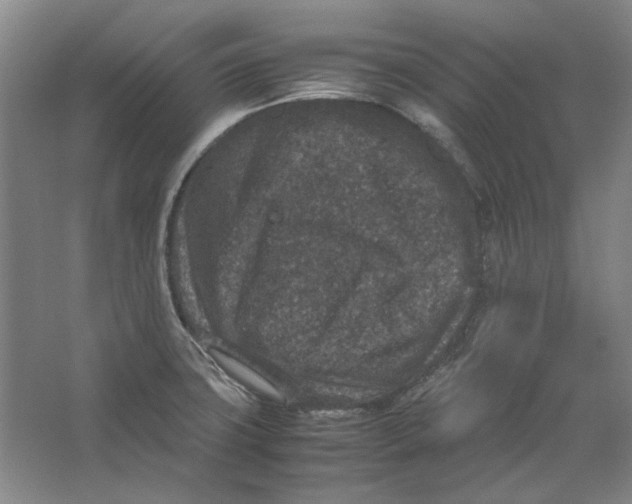 X0000062151427200512301541