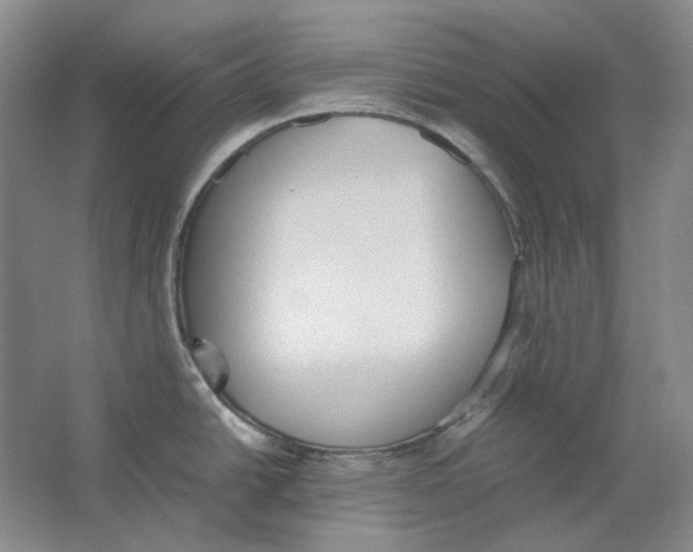 X0000062151438200512301542