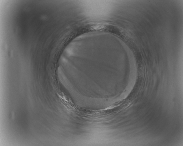 X0000062151441200512301541