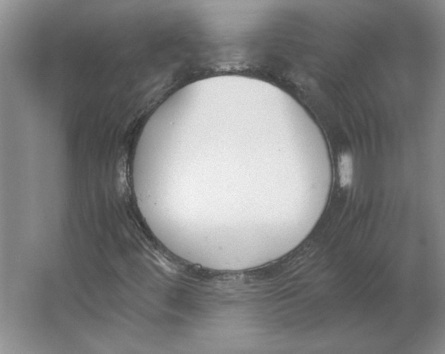 X0000062151444200512301541