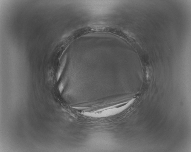 X0000062151445200512301541