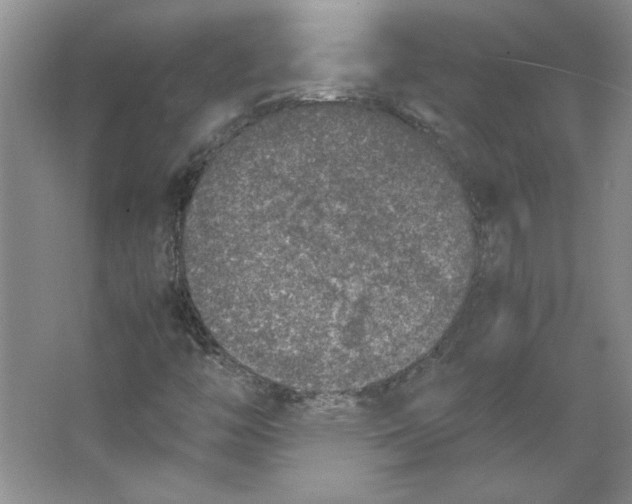 X0000062151446200512301541