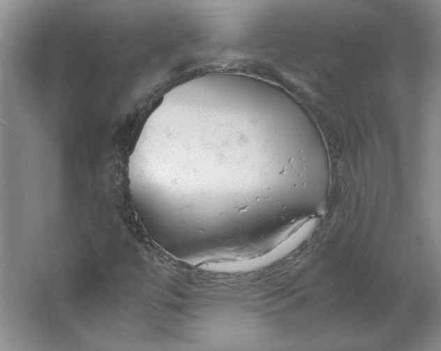 X0000062151447200512301541