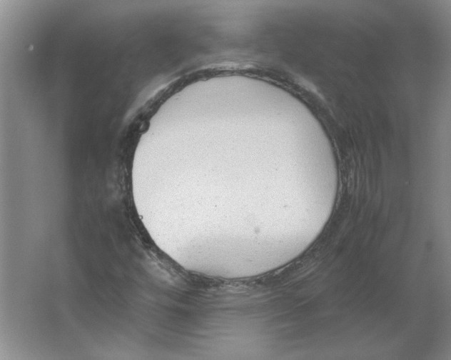 X0000062151448200512301541
