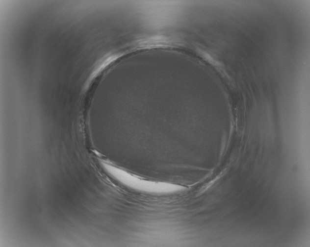 X0000062151453200512301541