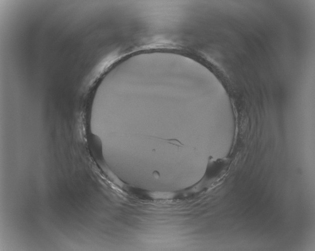 X0000062151455200512301541