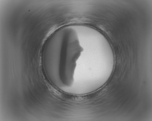 X0000062151459200512301541