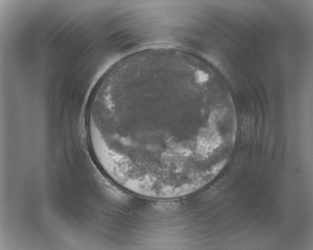 X0000062151466200512301540