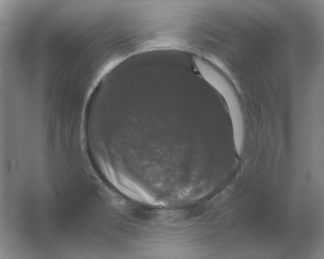 X0000062151469200512301540