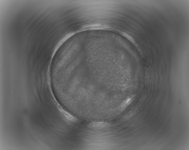 X0000062151474200512301540