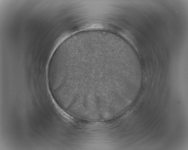 X0000062151475200512301540