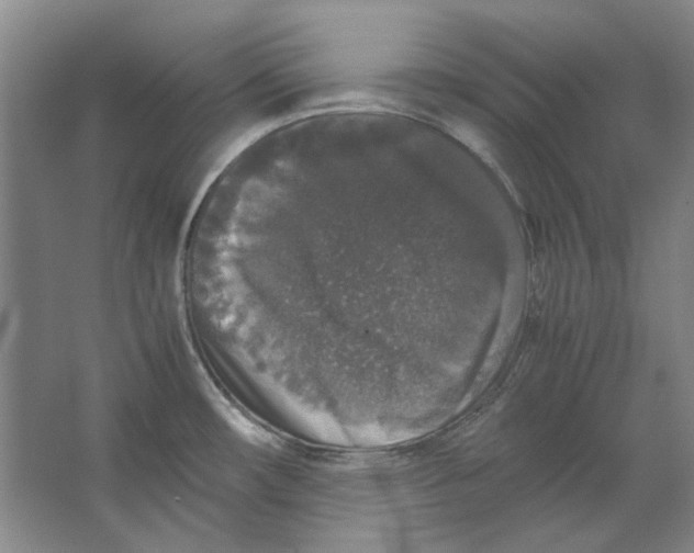 X0000062151482200512301540