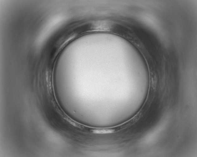 X0000062151487200512301540