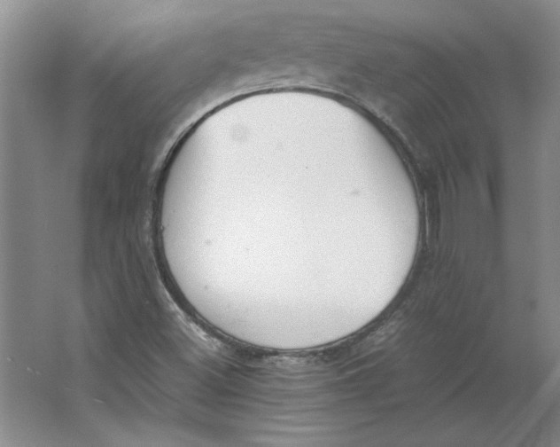 X0000062151500200512301539