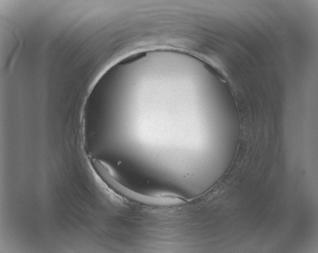 X0000062151524200512301540