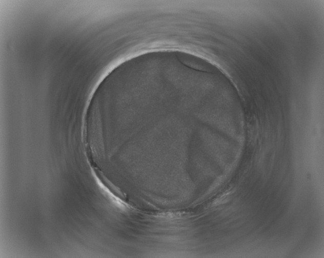 X0000062151527200512301540