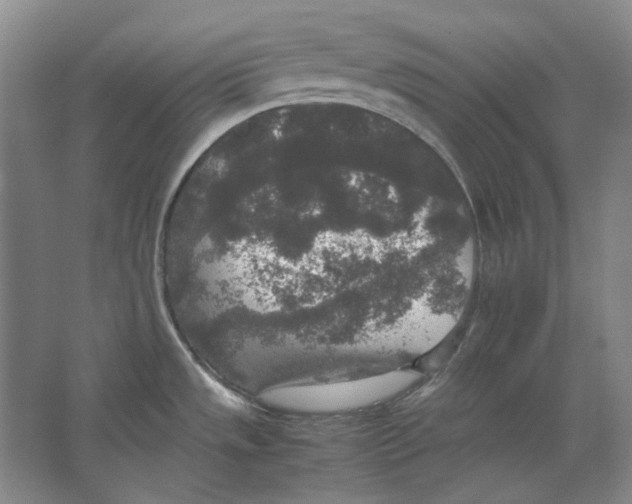 X0000062151533200512301540