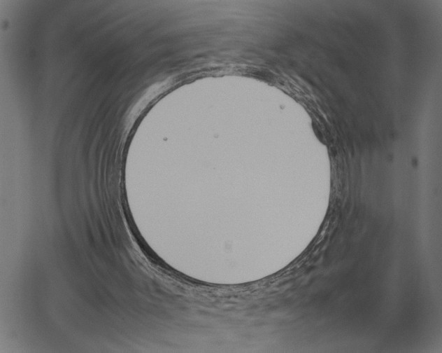 X0000062150003200601061001