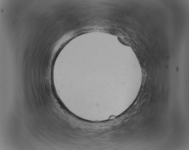 X0000062150006200601061001