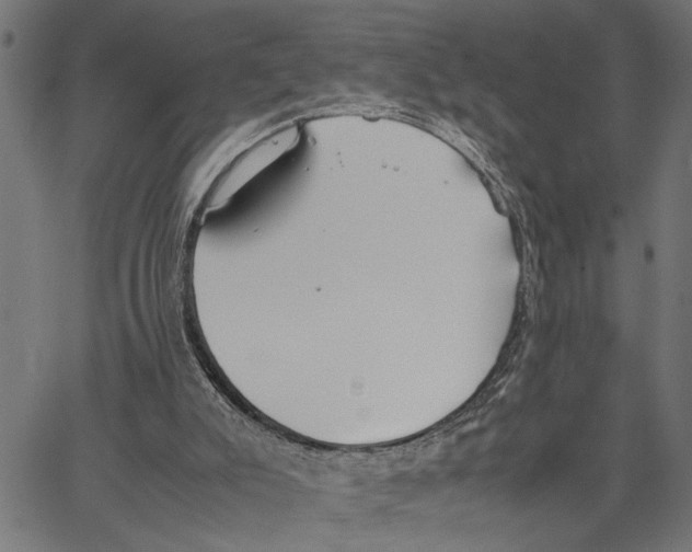 X0000062150007200601061001