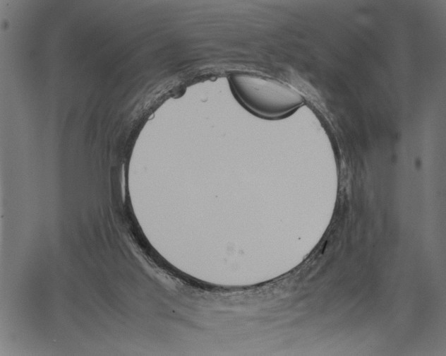 X0000062150013200601061001
