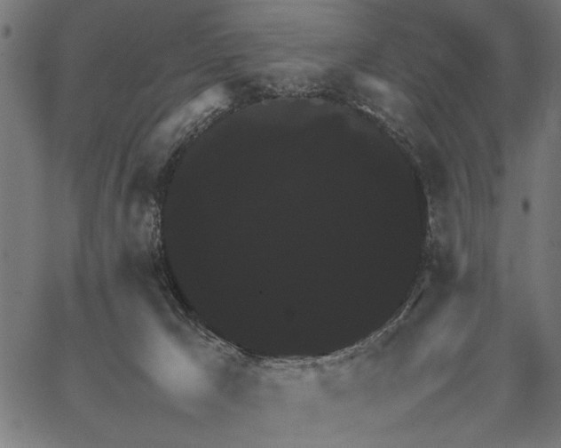 X0000062150029200601061000