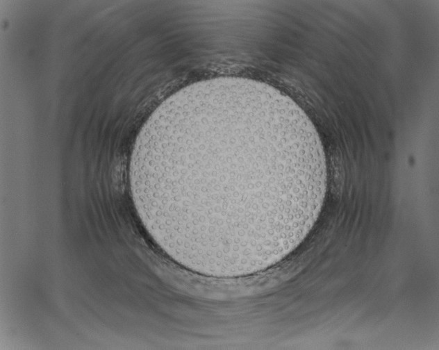 X0000062150034200601061000