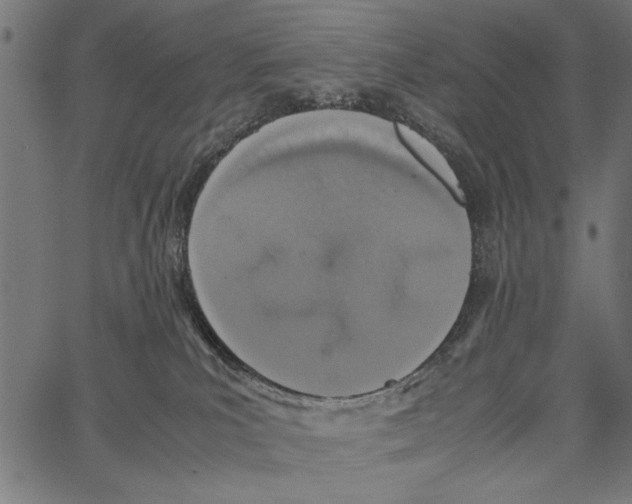 X0000062150039200601061000