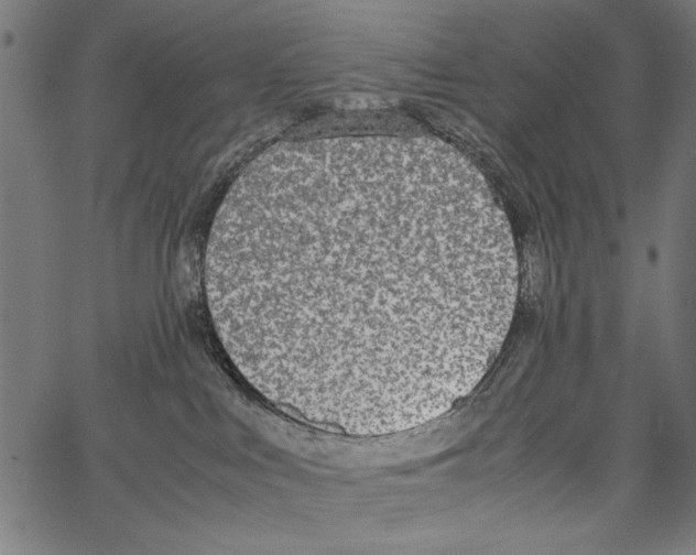 X0000062150043200601061000