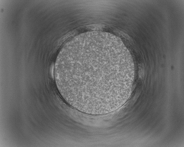 X0000062150047200601061000
