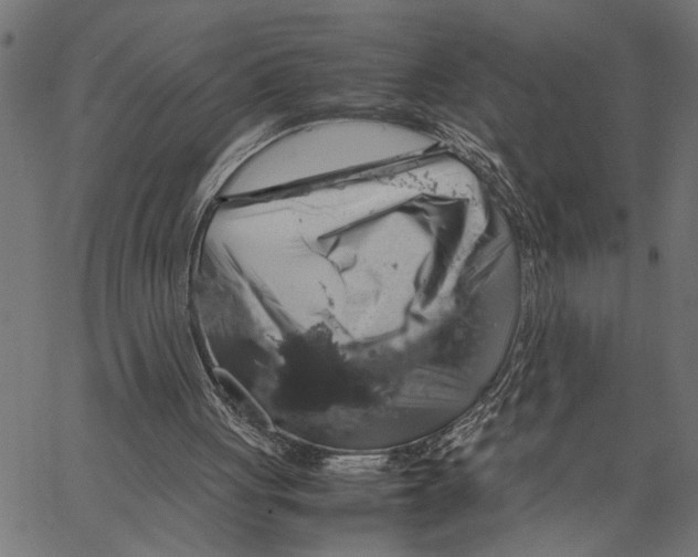 X0000062150051200601060959