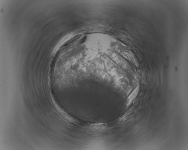 X0000062150054200601060959
