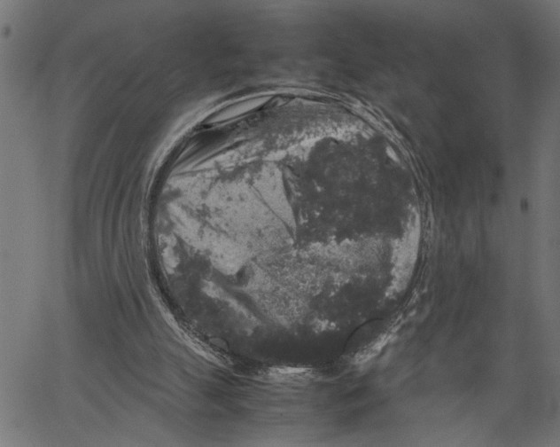 X0000062150055200601060959