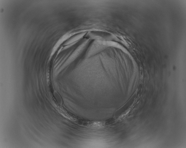 X0000062150056200601060959