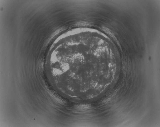 X0000062150063200601060959