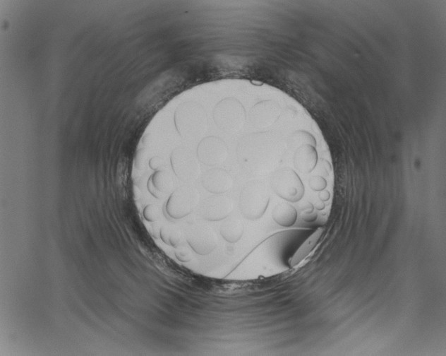 X0000062150082200601061000