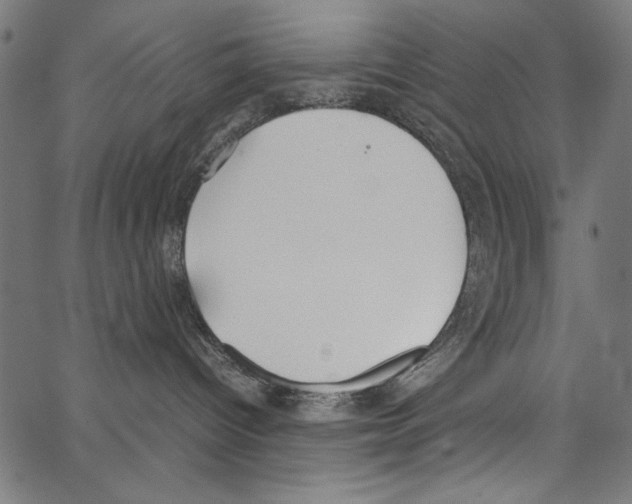 X0000062150096200601061000