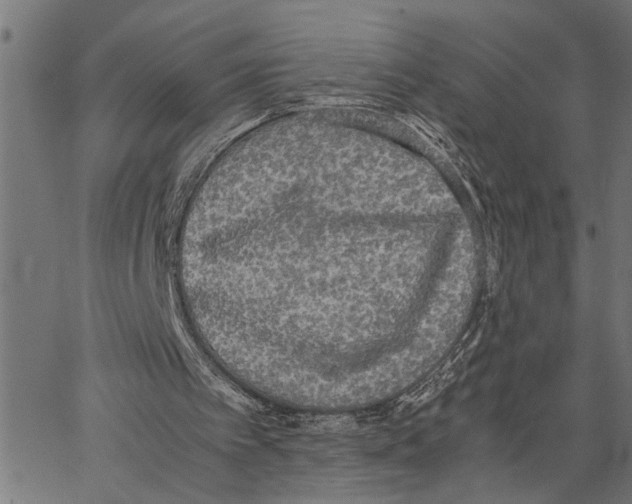 X0000062150097200601060959