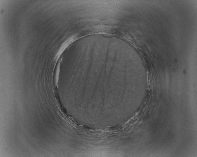 X0000062150099200601060959