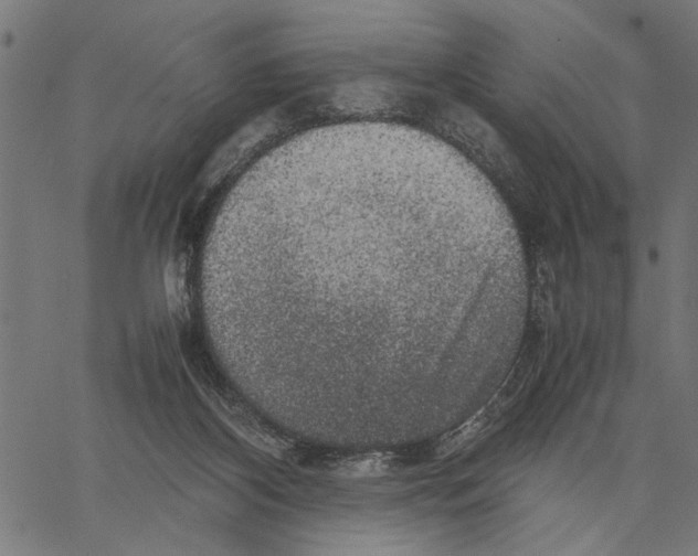 X0000062150116200601060959