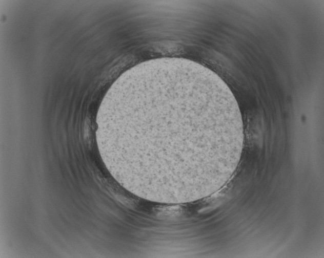 X0000062150132200601060959