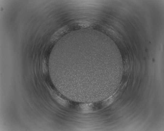 X0000062150136200601060959
