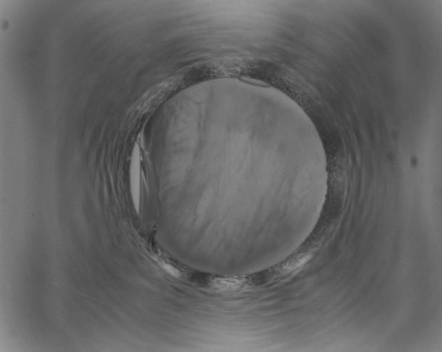 X0000062150139200601060959