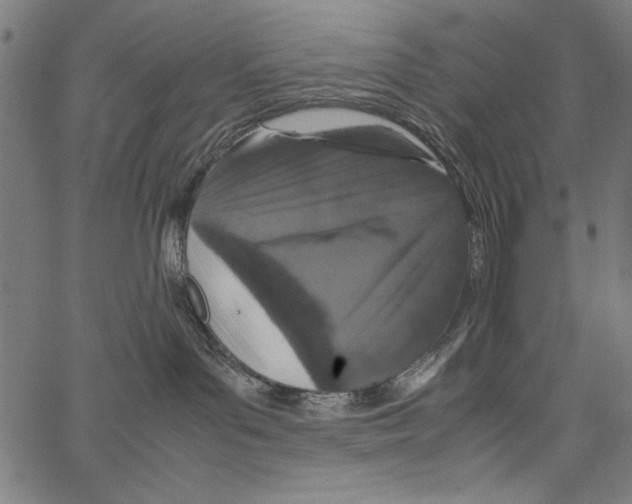 X0000062150143200601060958