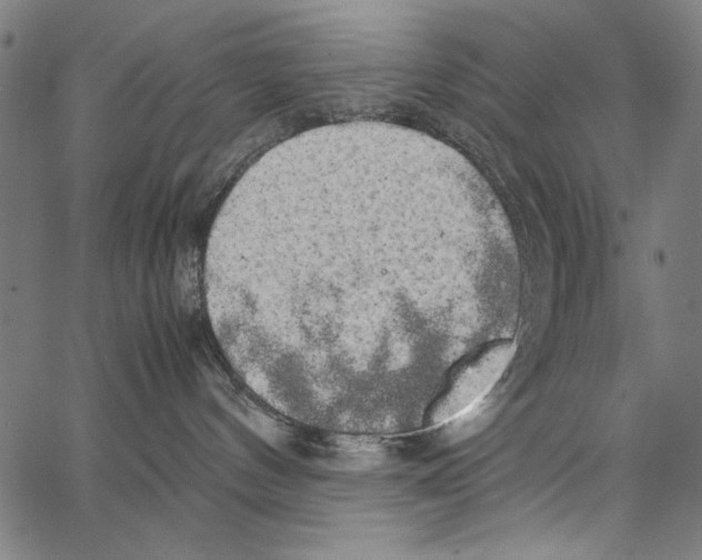 X0000062150144200601060958